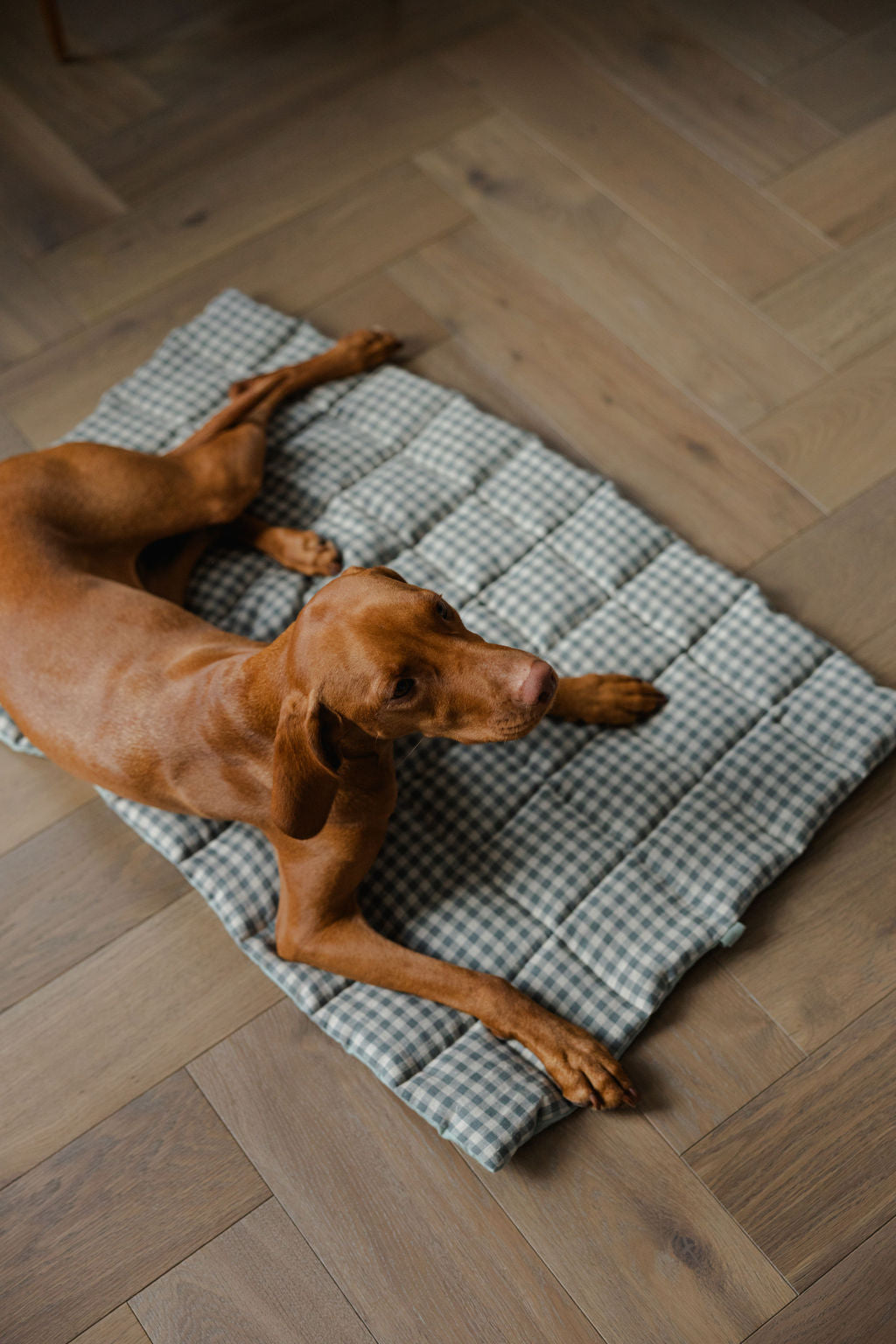 portable dog mat