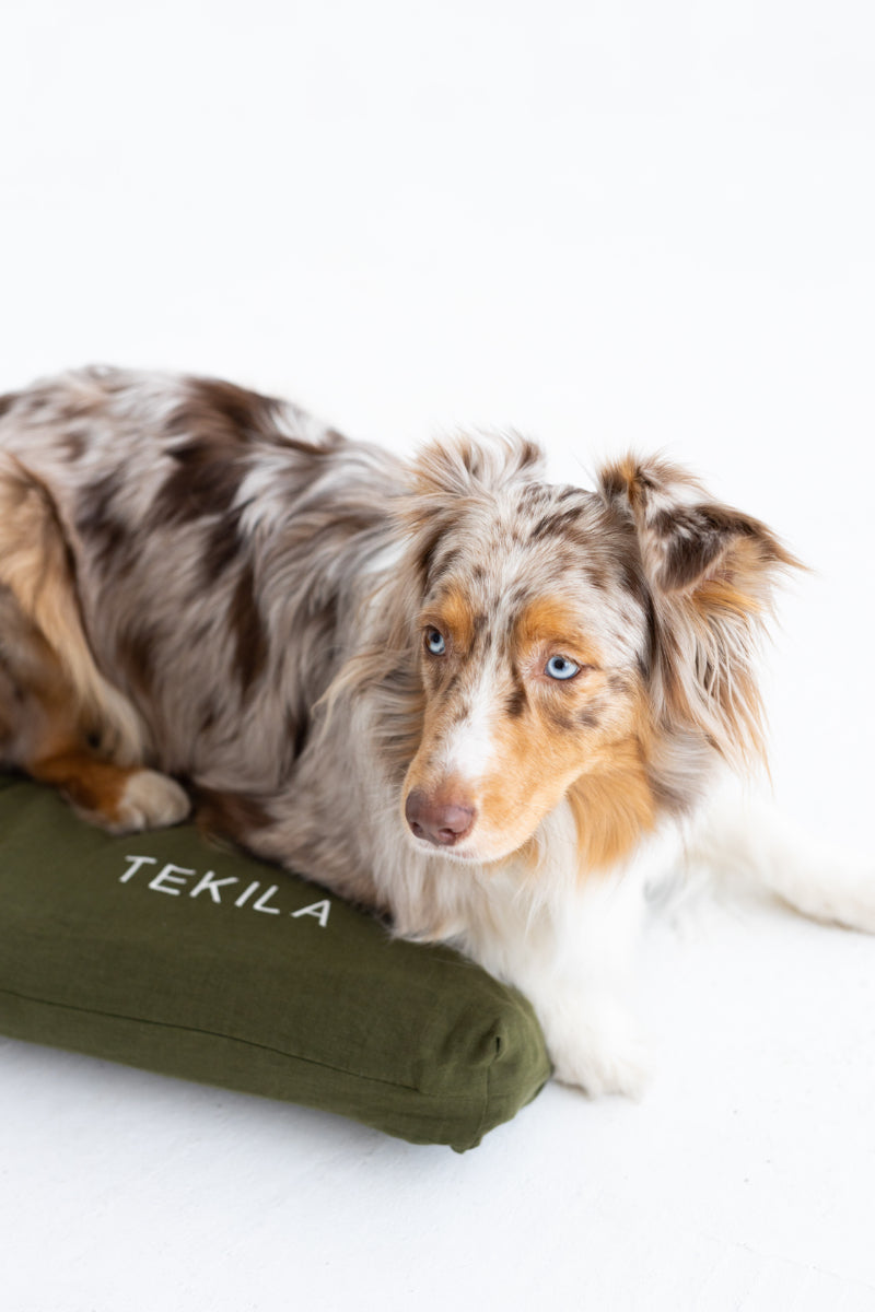 linen dog bed cover