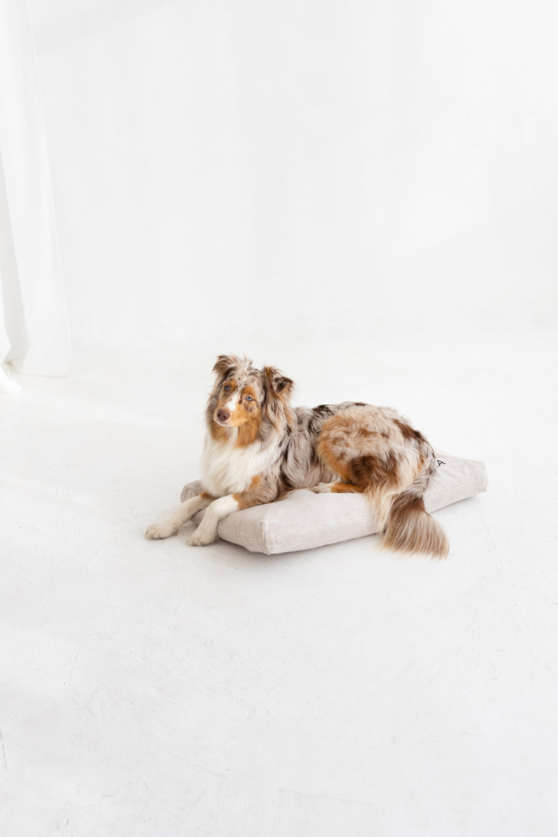 linen dog bed cover