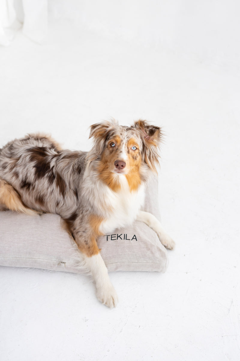 linen dog bed cover