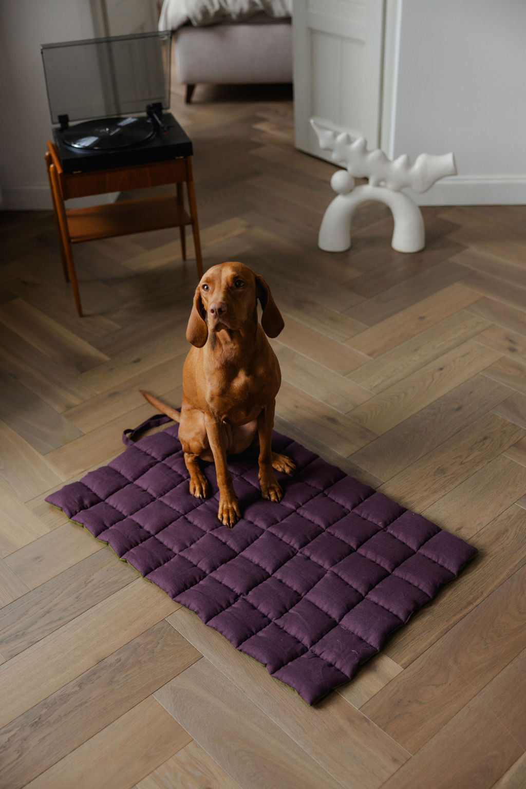 portable dog mat
