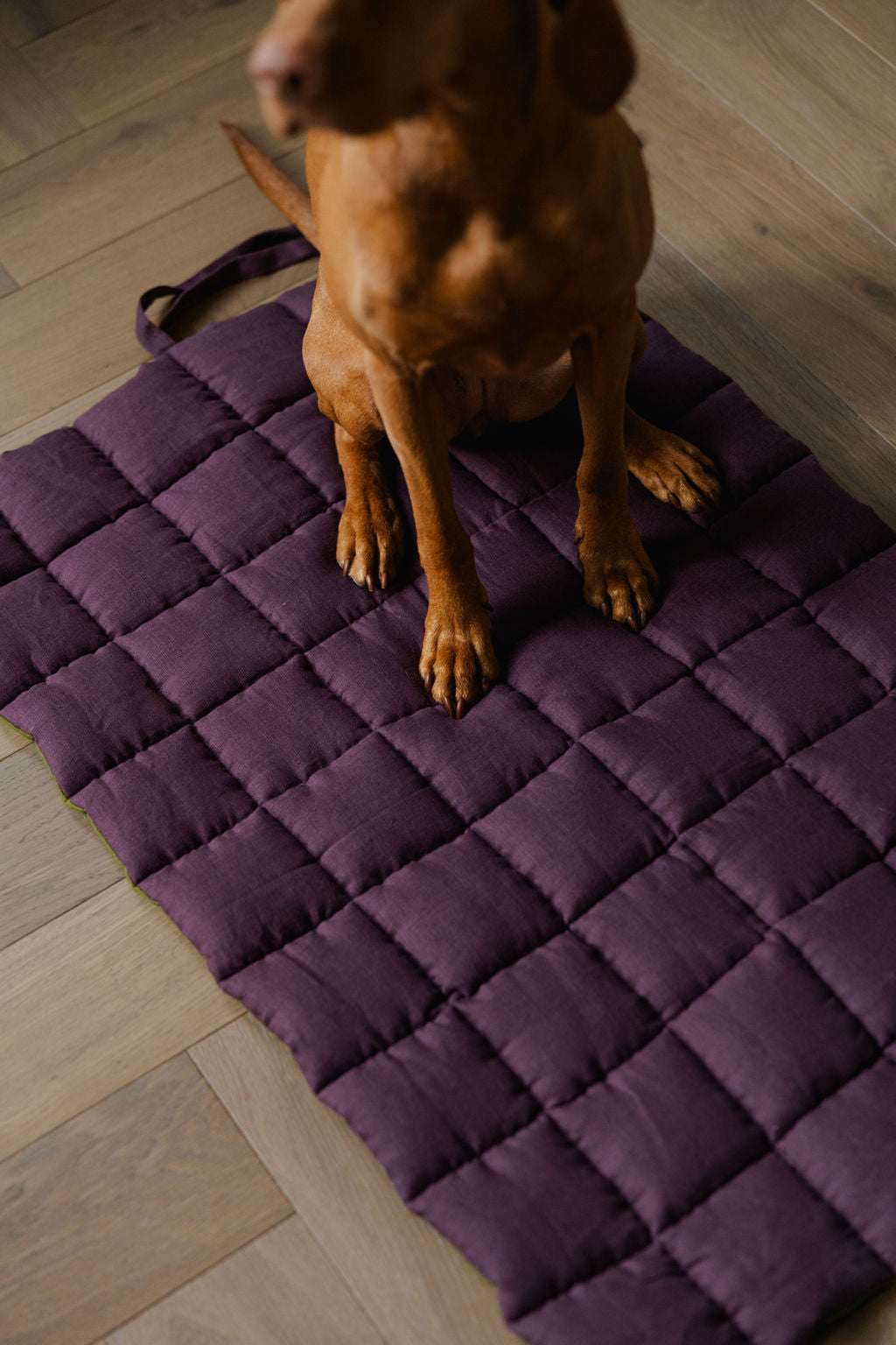 portable dog mat