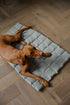 portable dog mat
