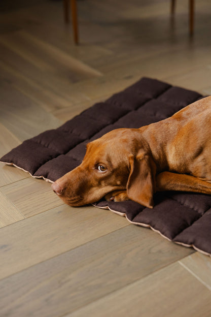 Dog lying on a brown pet bed on a wooden floor