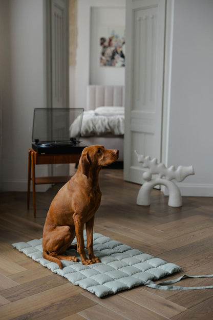 portable dog mat