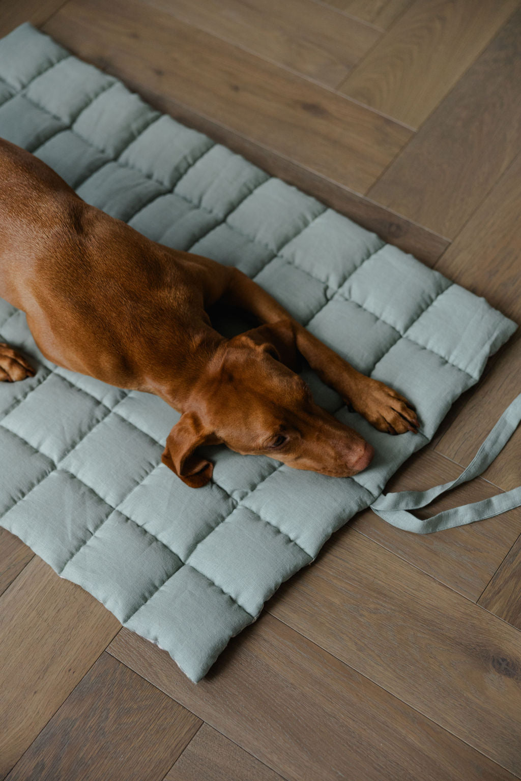 portable dog mat