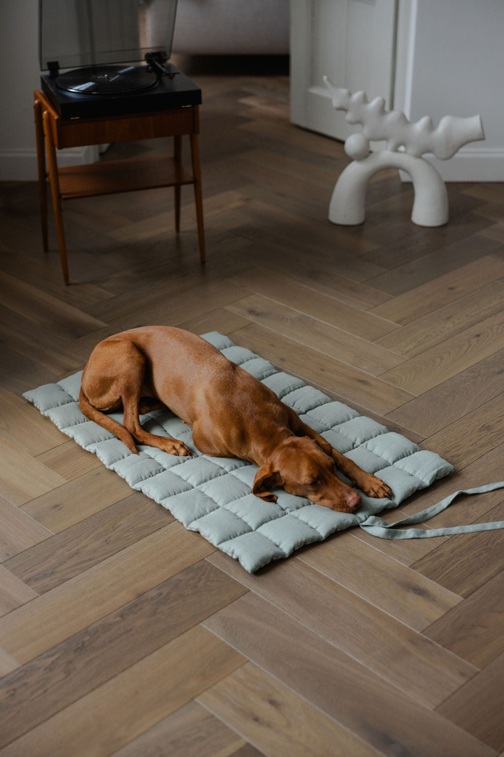 portable linen dog mat