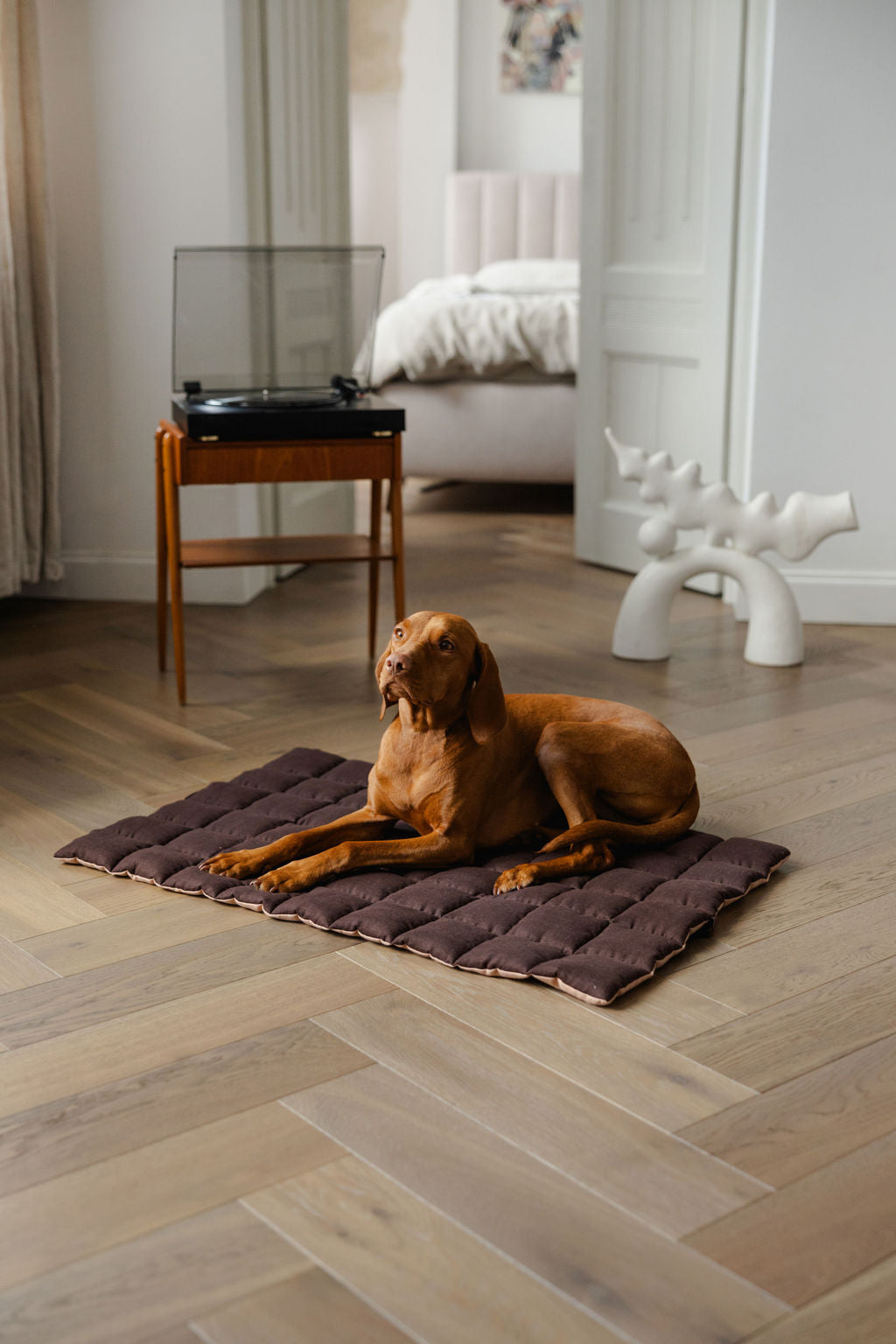 Dog lying on a brown mat in a modern living room.