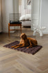 Dog lying on a brown mat in a modern living room.