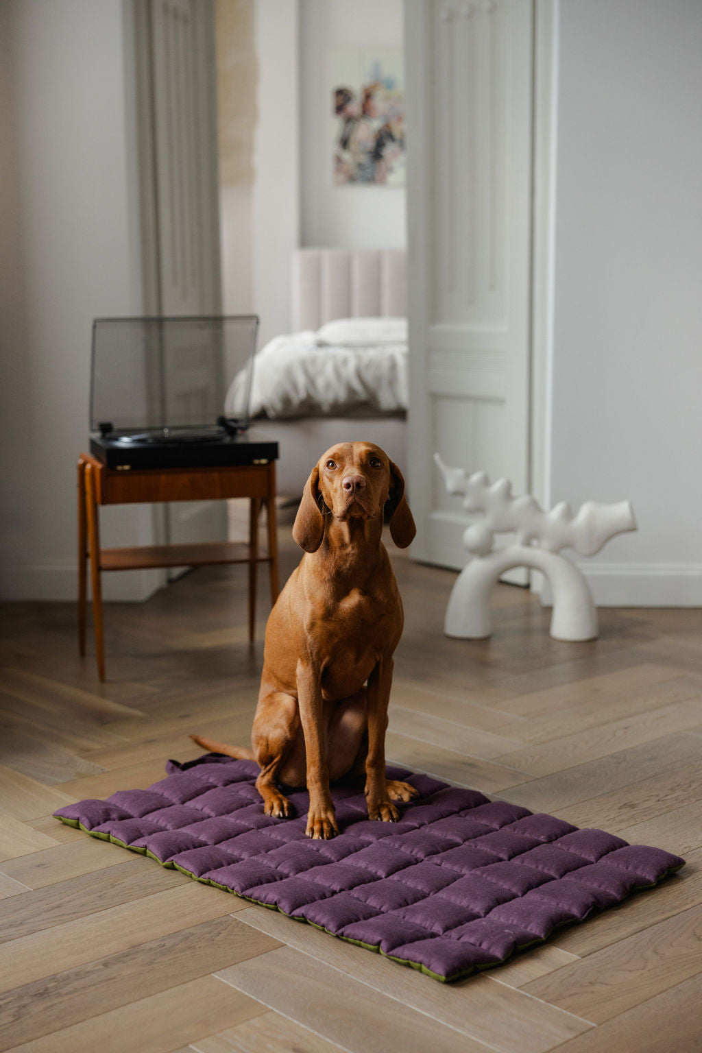 portable dog mat