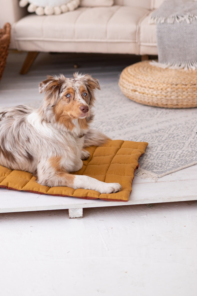 portable dog bed